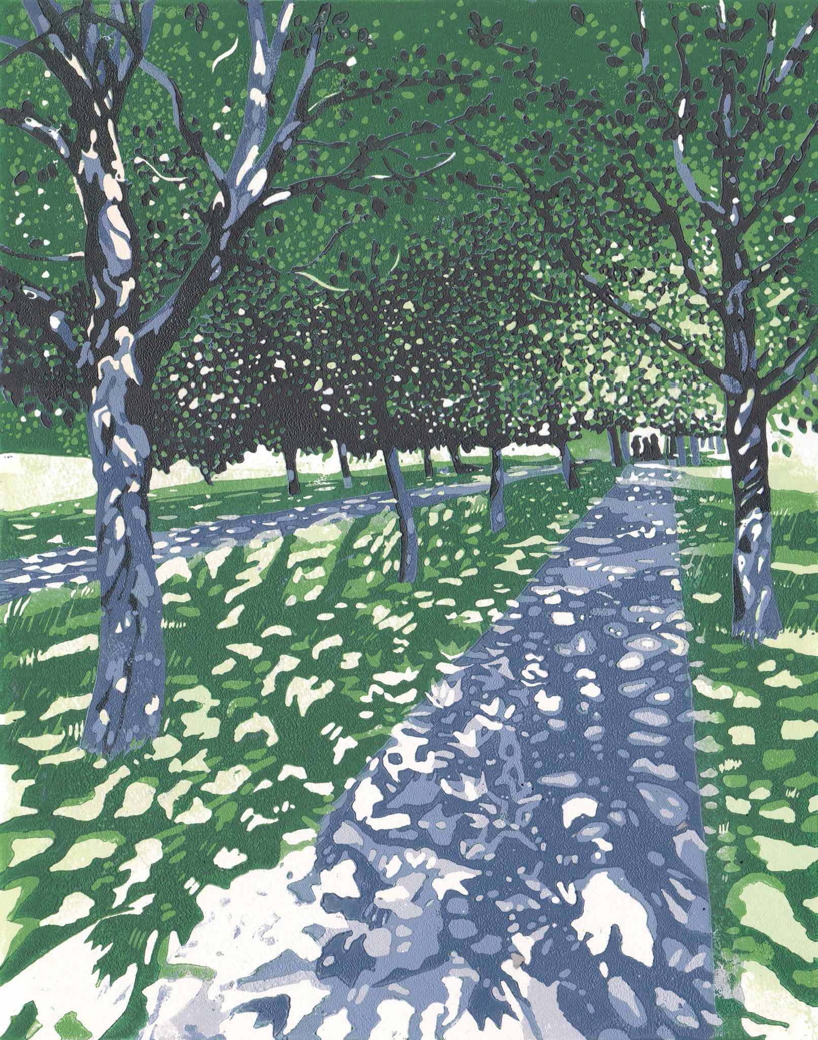 Summer Shadows, Clapham Common 1/7